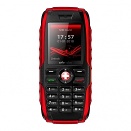 Swissvoice SV29